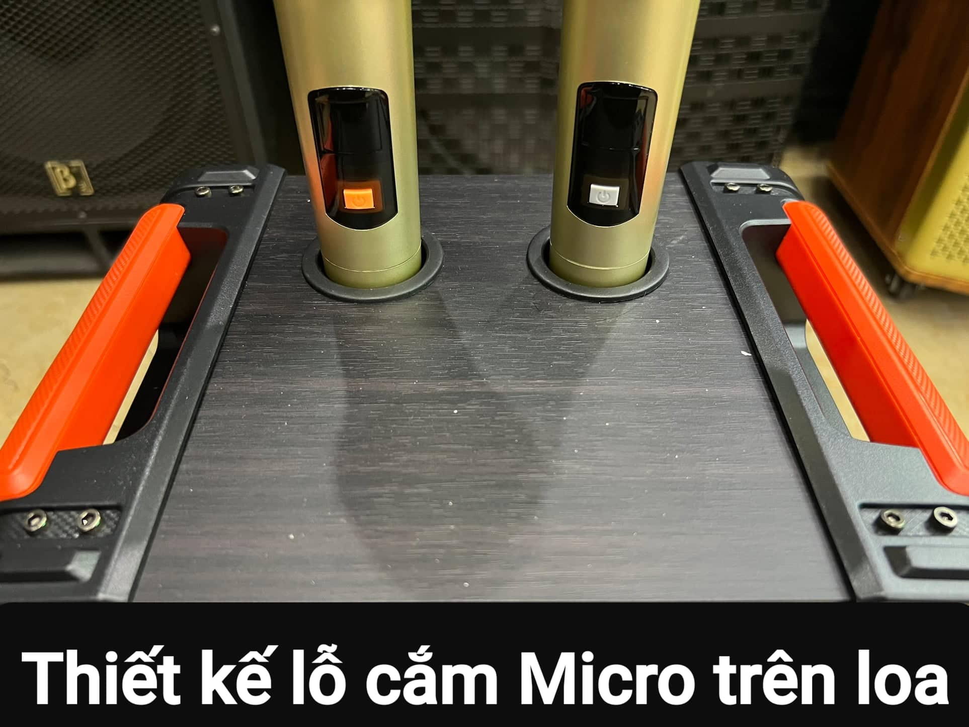 Loa kéo Karaoke Bluetooth V08: Bass 20, Có 2 Micro không dây đi kèm