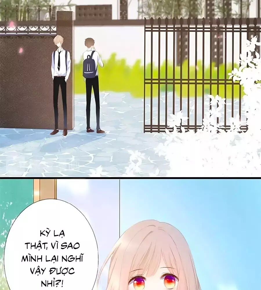 hoa chưa nở rộ chapter 15 6