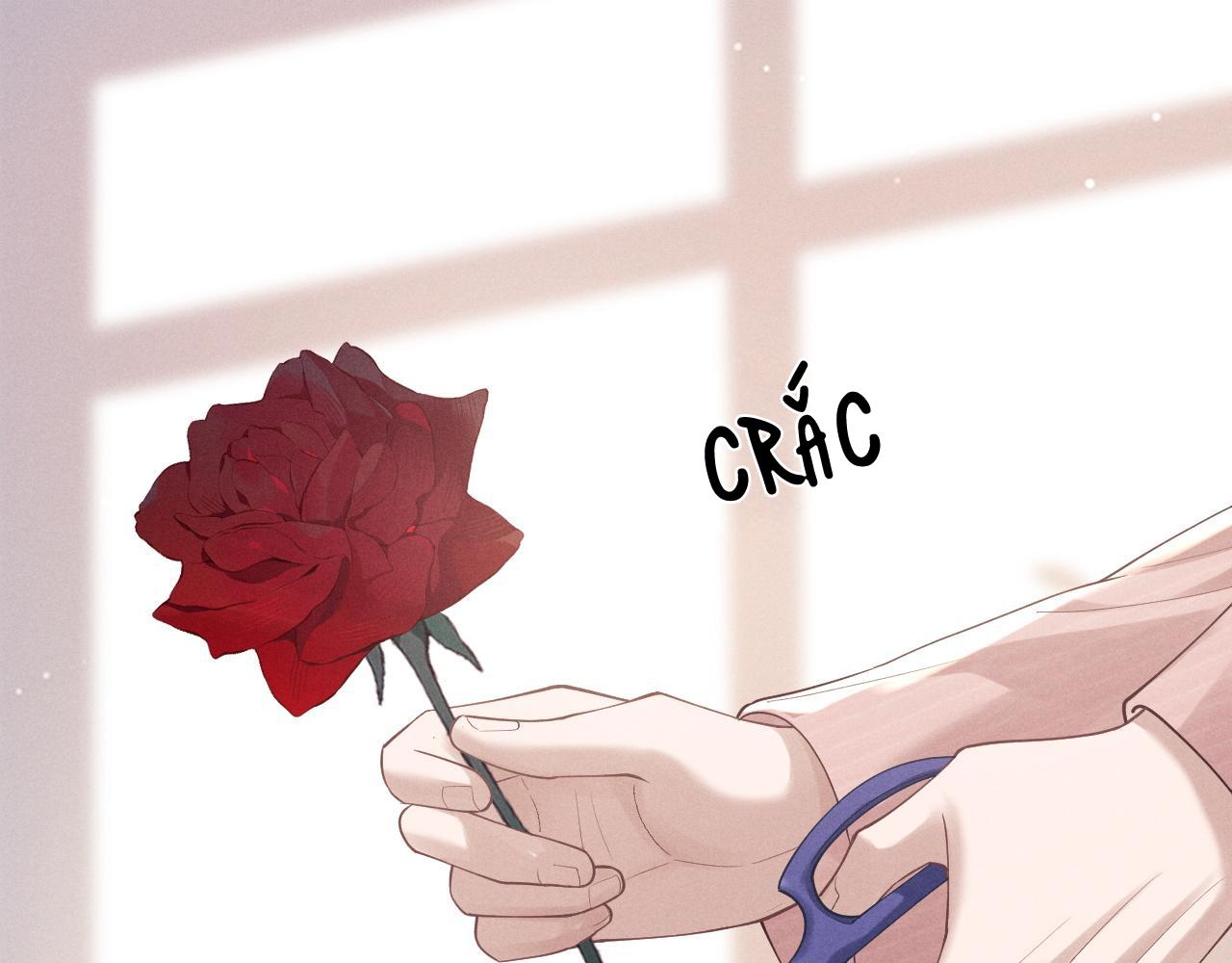 chấp sự thỏ tai cụp chapter 68 4