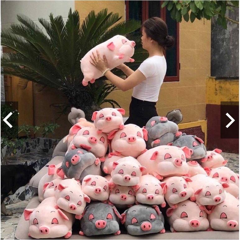 Gấu Bông Heo Phê Cần, Heo Mắt Híp Lợn Ngủ Đờ Đẫn Siêu Đáng Yêu