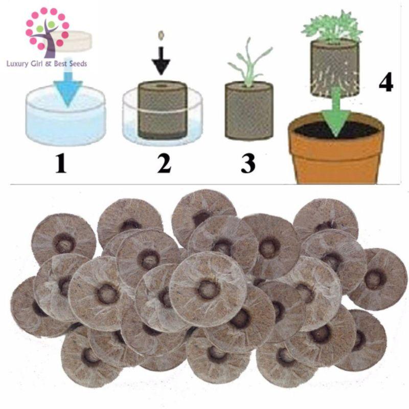 Viên Nén Xơ Dừa Ươm Hạt Giống Tiện Lợi - Shop Phân Bón và Hạt Giống