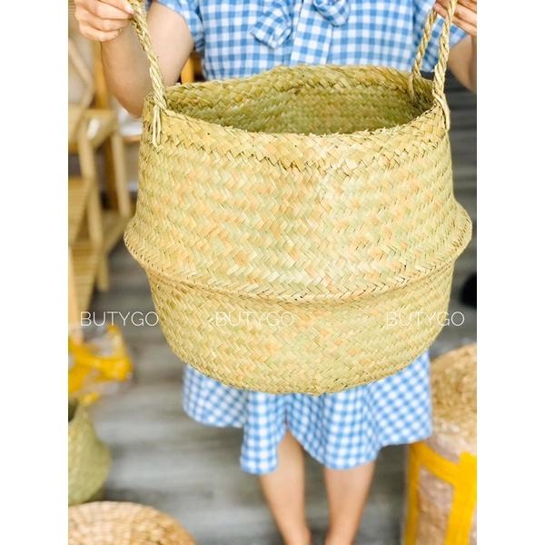GIỎ CÓI TRỒNG CÂY
