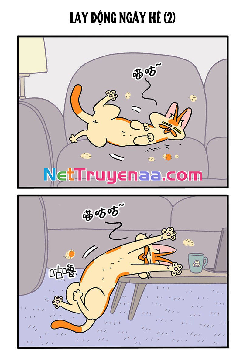a mãn và mạch trà chapter 24 3