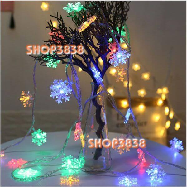 Dây Đèn Led Bi Đục Tròn Dài 3M - 20 Bóng Nhiều Màu Trang Trí Noel Lễ Tết