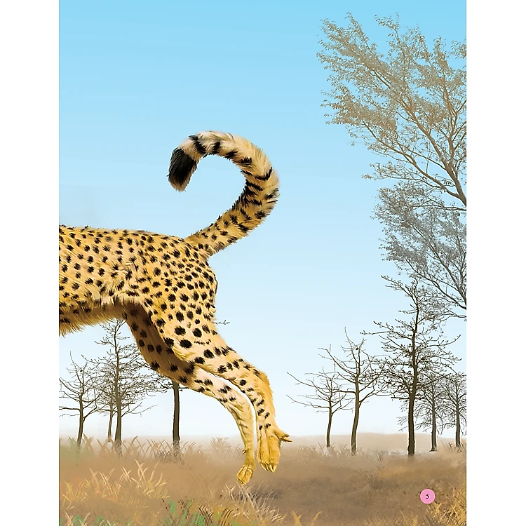 Sách Bách Khoa Toàn Thư Tìm Hiểu Về Trái Đất - ảnh 6