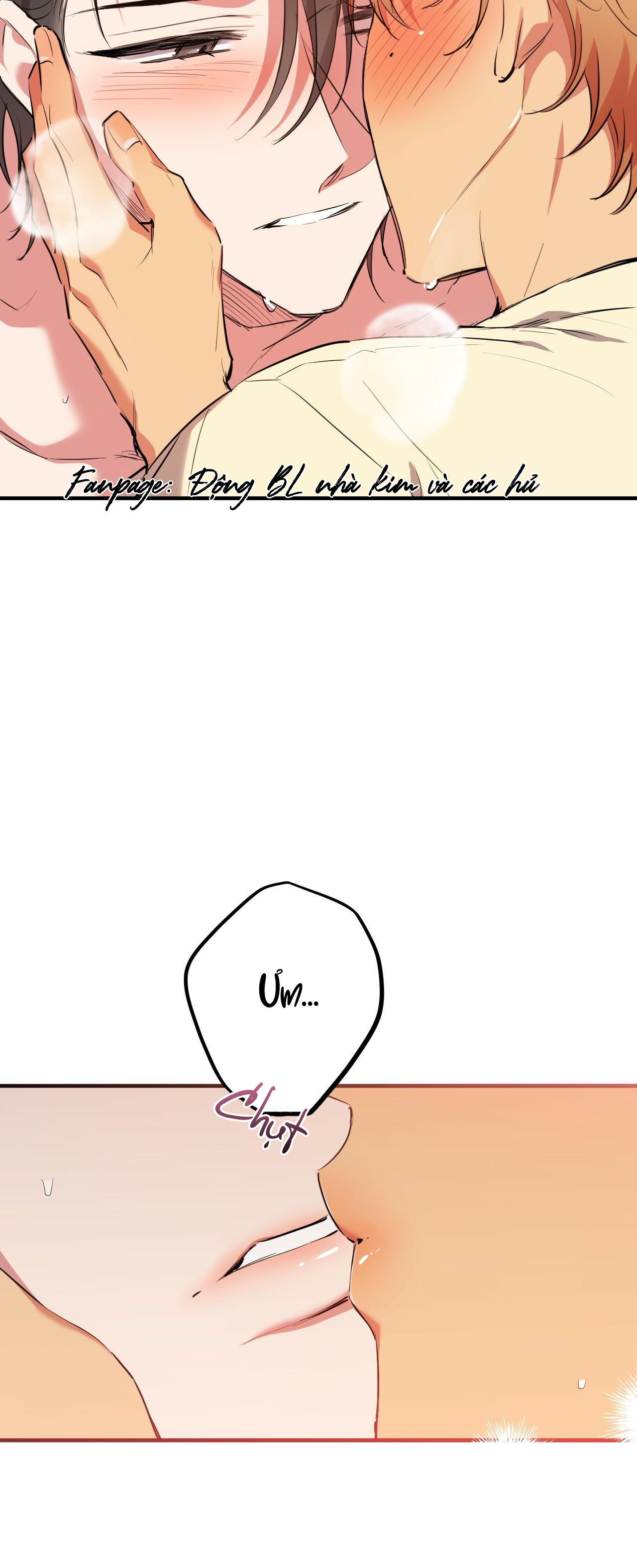 những chú thỏ của hapypy chapter 38 50