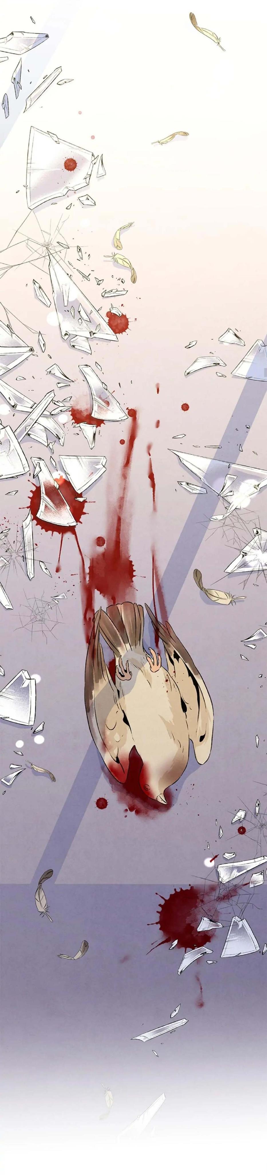 bona sort chapter 18 22