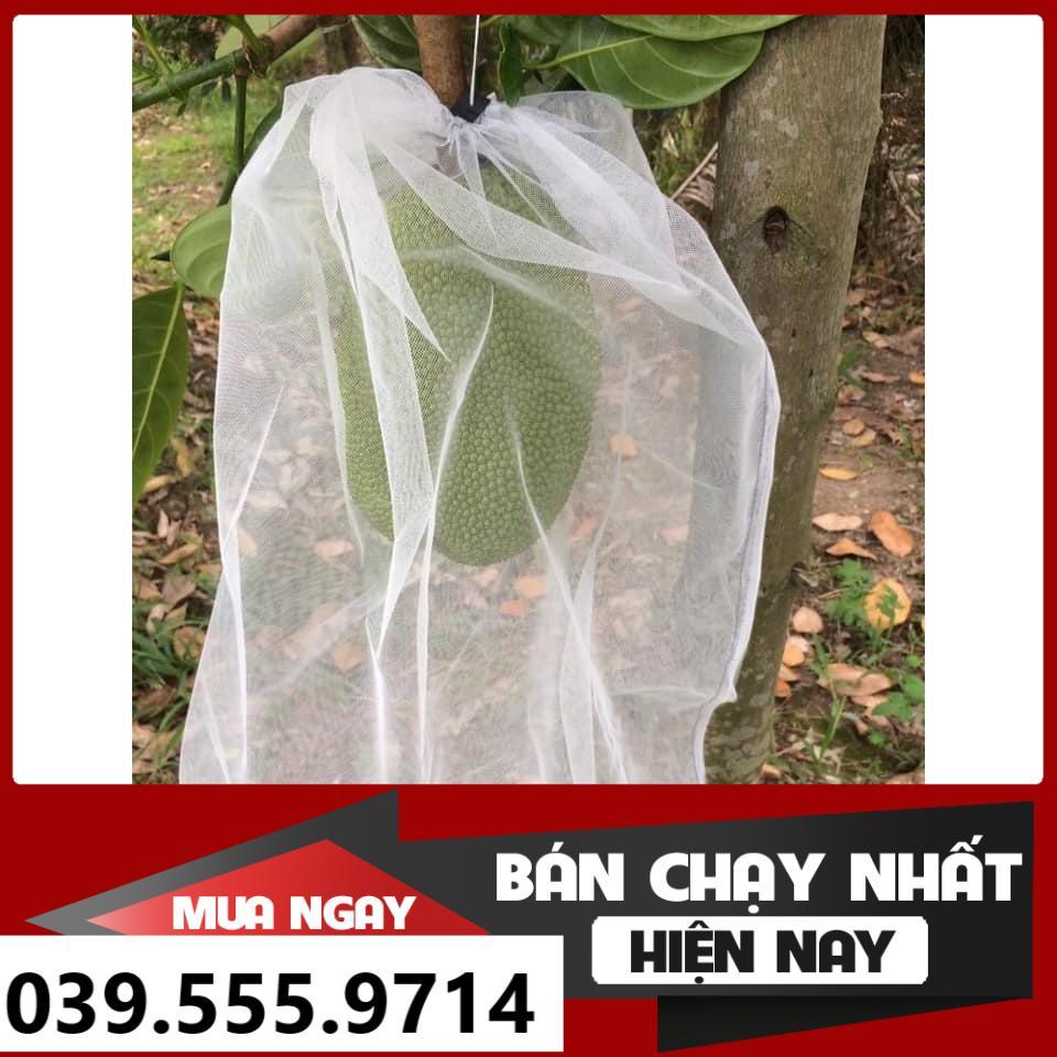 100 TÚI BỌC MÍT SIZE 45X60 - CHỐNG CÔN TRÙNG BẢO VỆ QUẢ