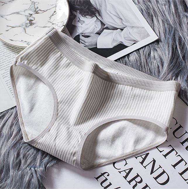 Combo 5 Quần lót cotton thun co giãn thời trang QL 8138