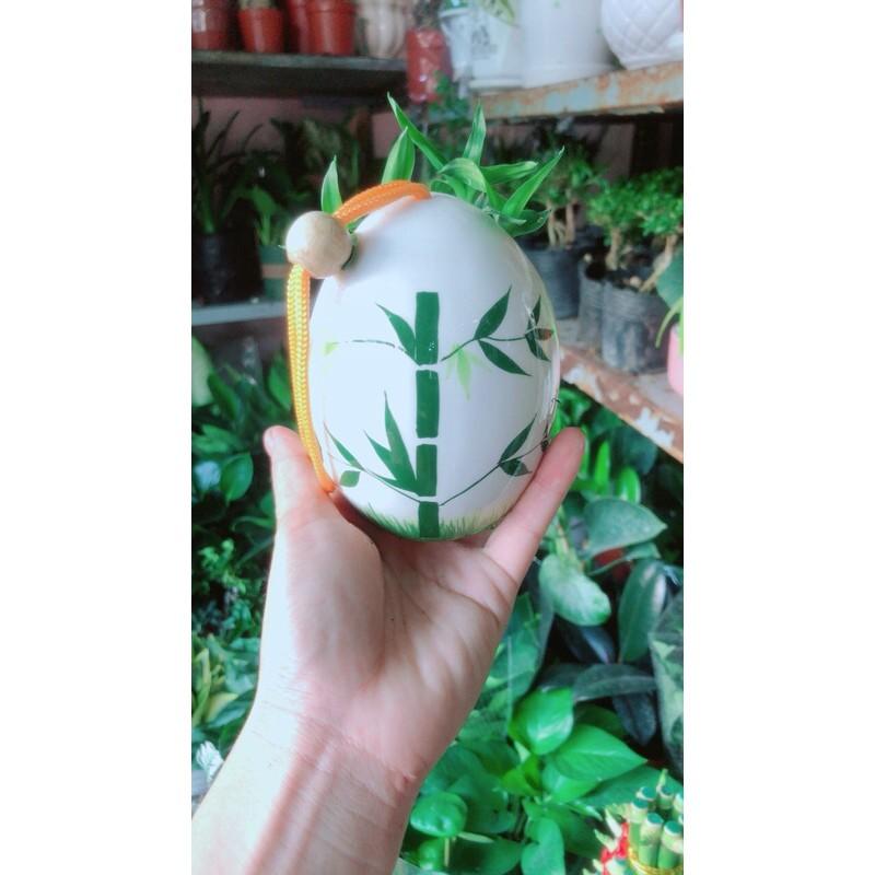 Chậu Cây Tài Lộc