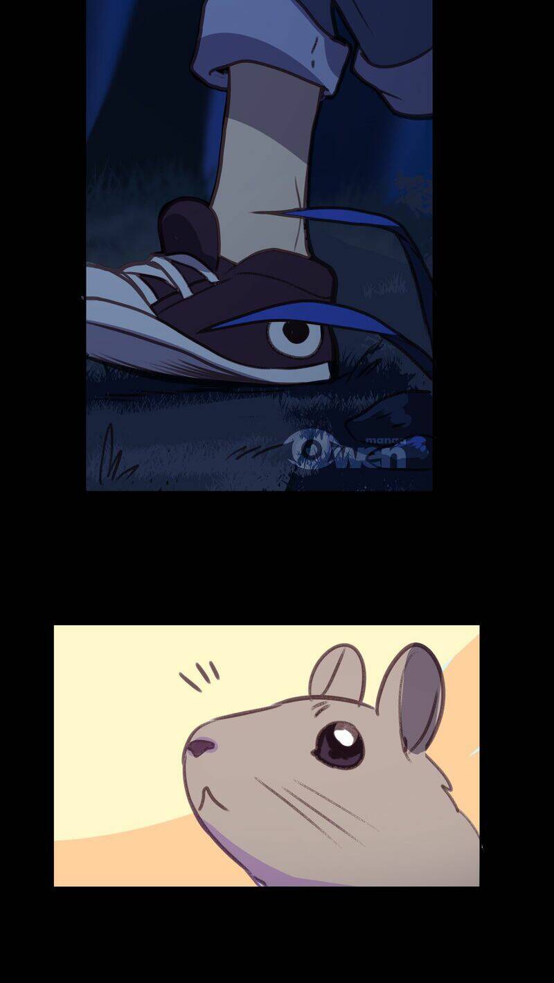 lời nguyền lalin chapter 33 13