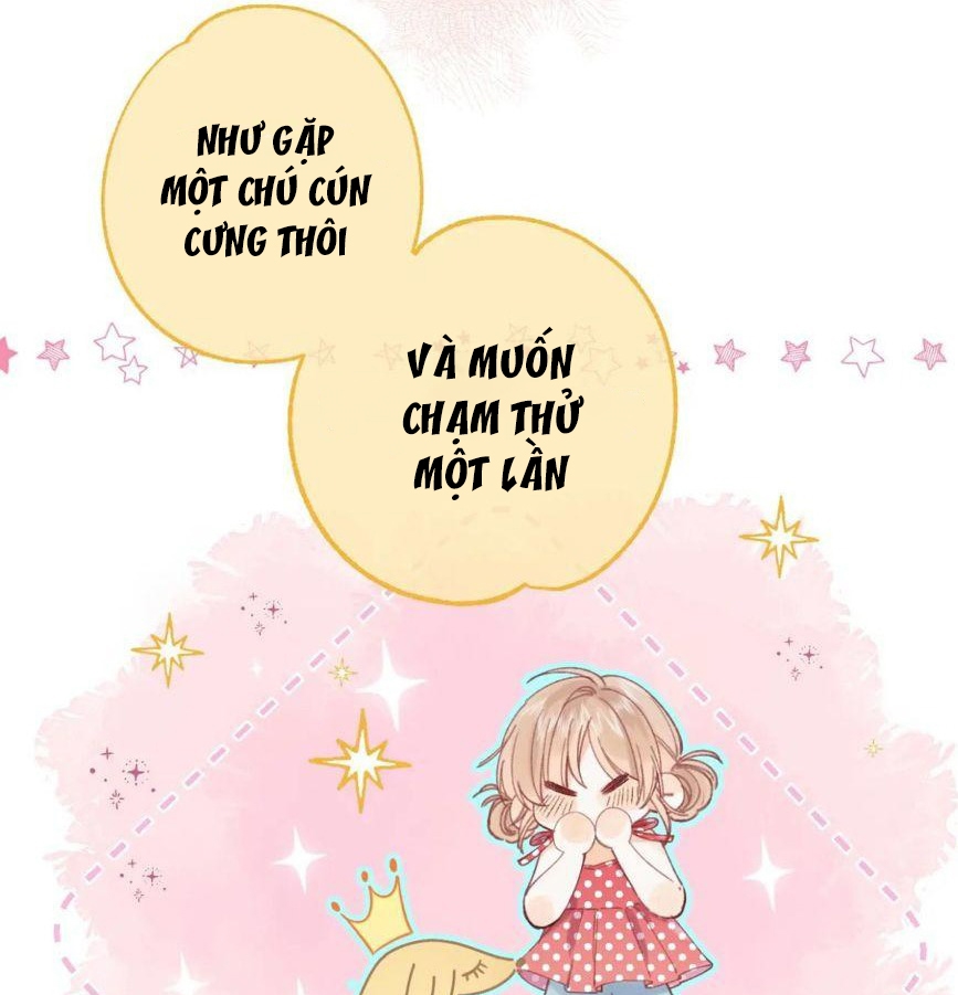 vụng trộm không thể giấu - mối tình thầm kín chapter 14 37