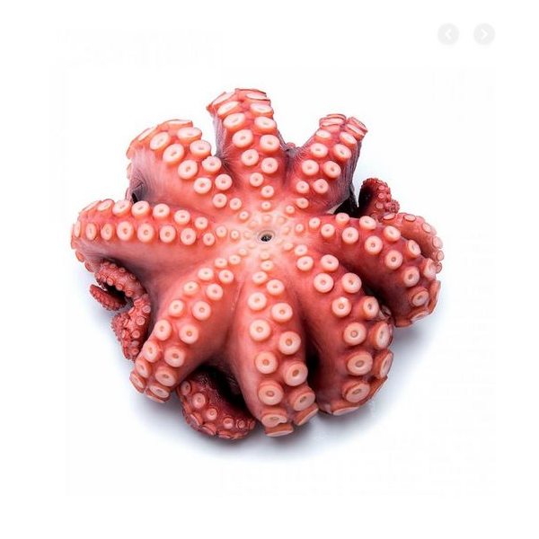 Bạch Tuộc - Tako 300g