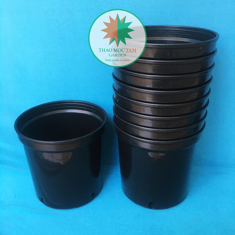 05c Chậu nhựa cứng 18x16cm – Chậu nhựa cứng, dày, miệng vành cứng trồng hoa hồng, hoa chậu