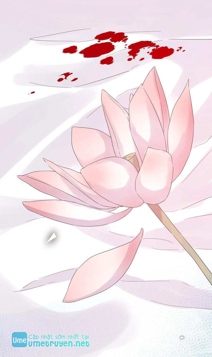 nhất hoàng cửu công thập nhị thê chapter 50 36