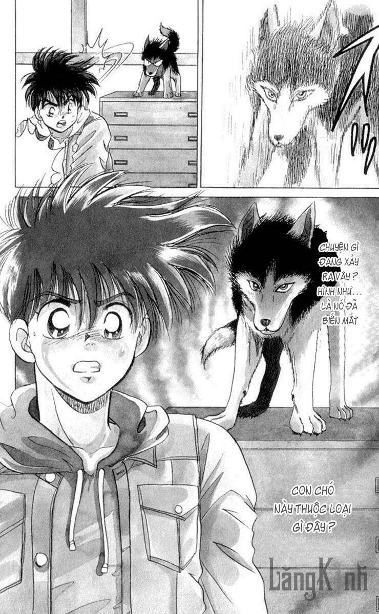 wild half chapter 1 25