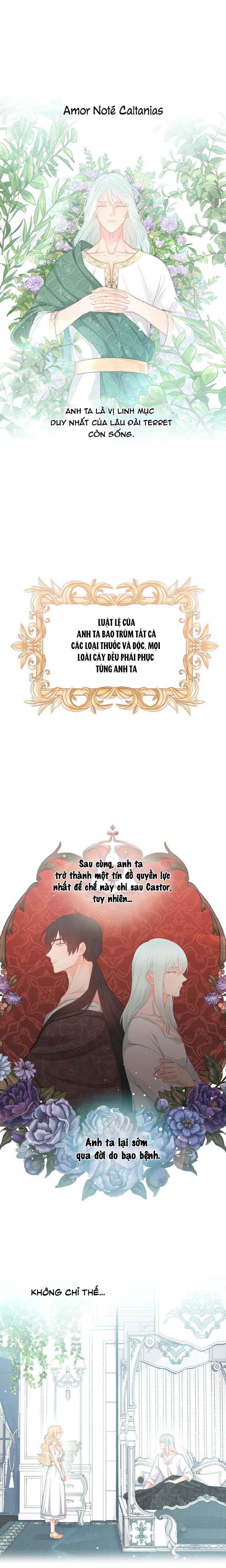 xin đừng trao tấm lòng vào cuốn sách ấy chapter 8 5