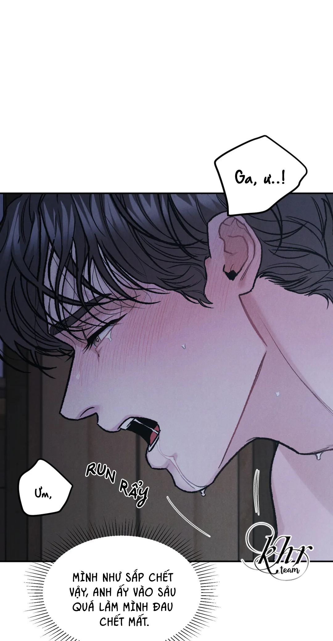 limited run chapter 29 13