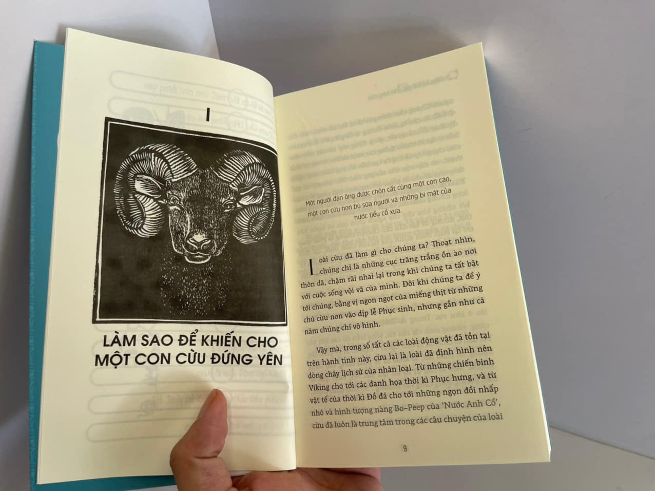 Lược Sử Thế Giới Trên Lưng Cừu - BV