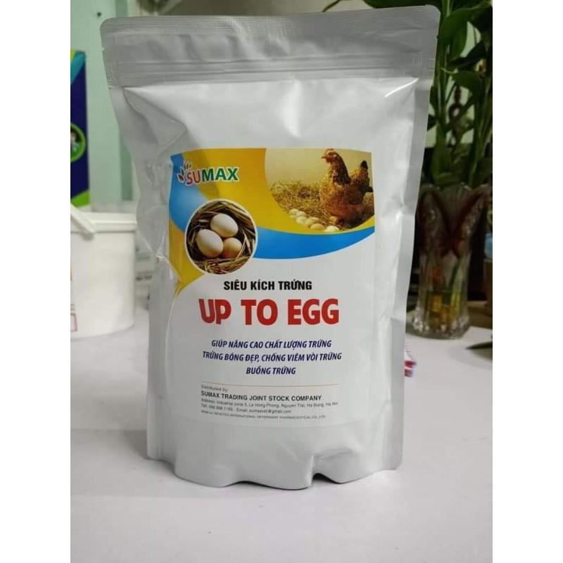 KÍCH TRỨNG- tetra trứng1KG/gói