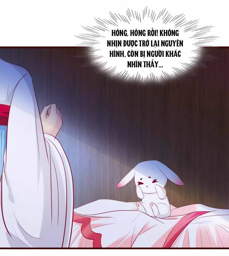 thỏ yêu tiểu vương phi chapter 31 22