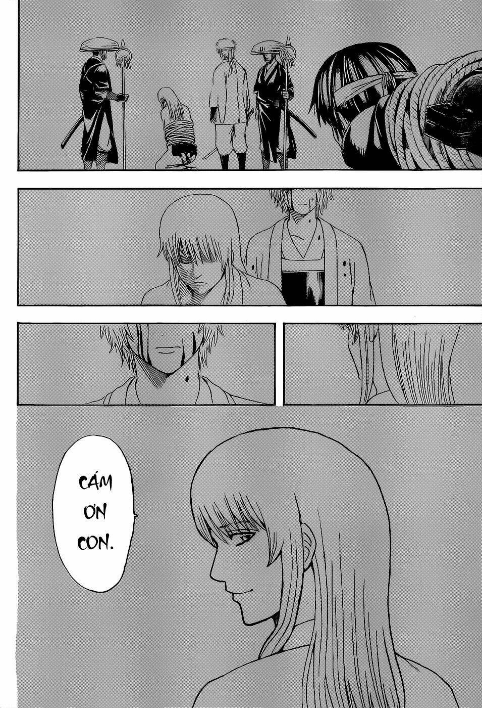 gintama - linh hồn bạc chapter 519 19