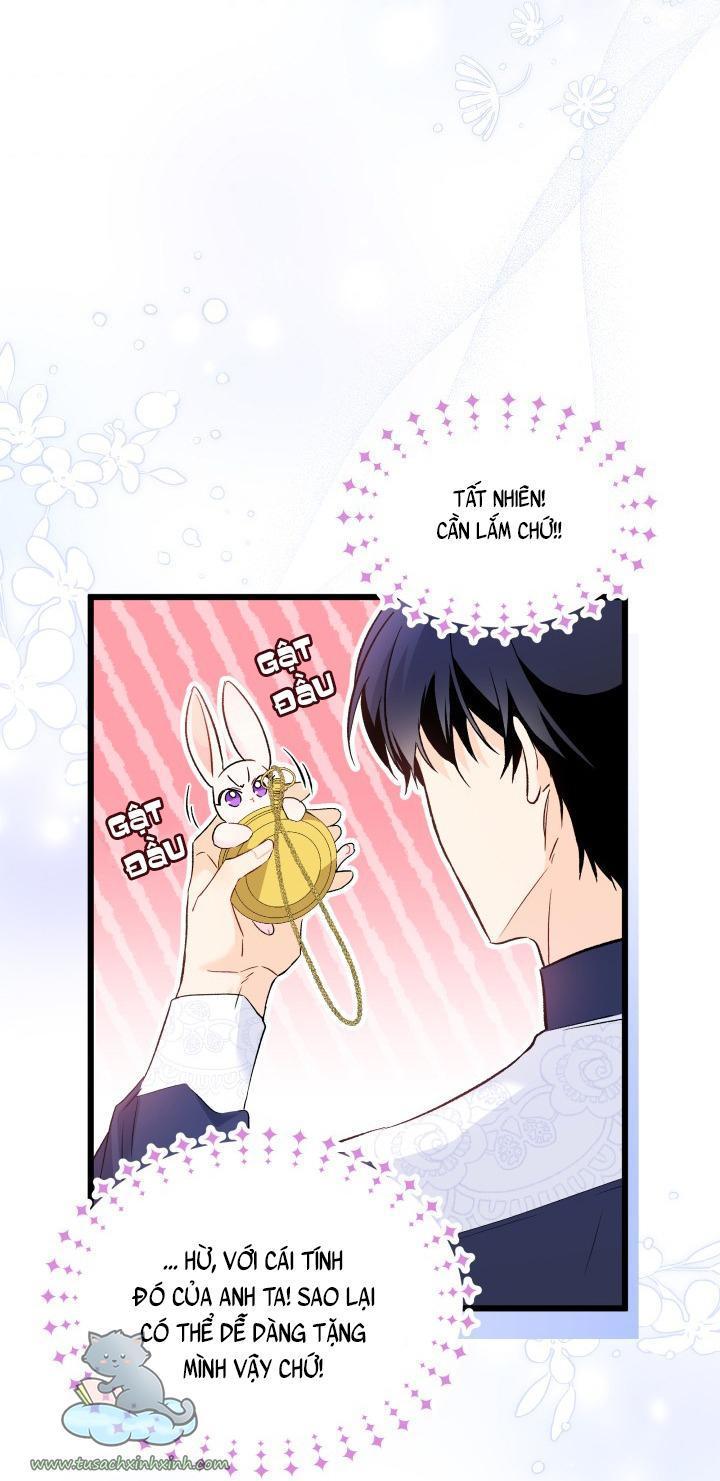 quan hệ cộng sinh giữa báo đen và thỏ trắng chapter 56 53