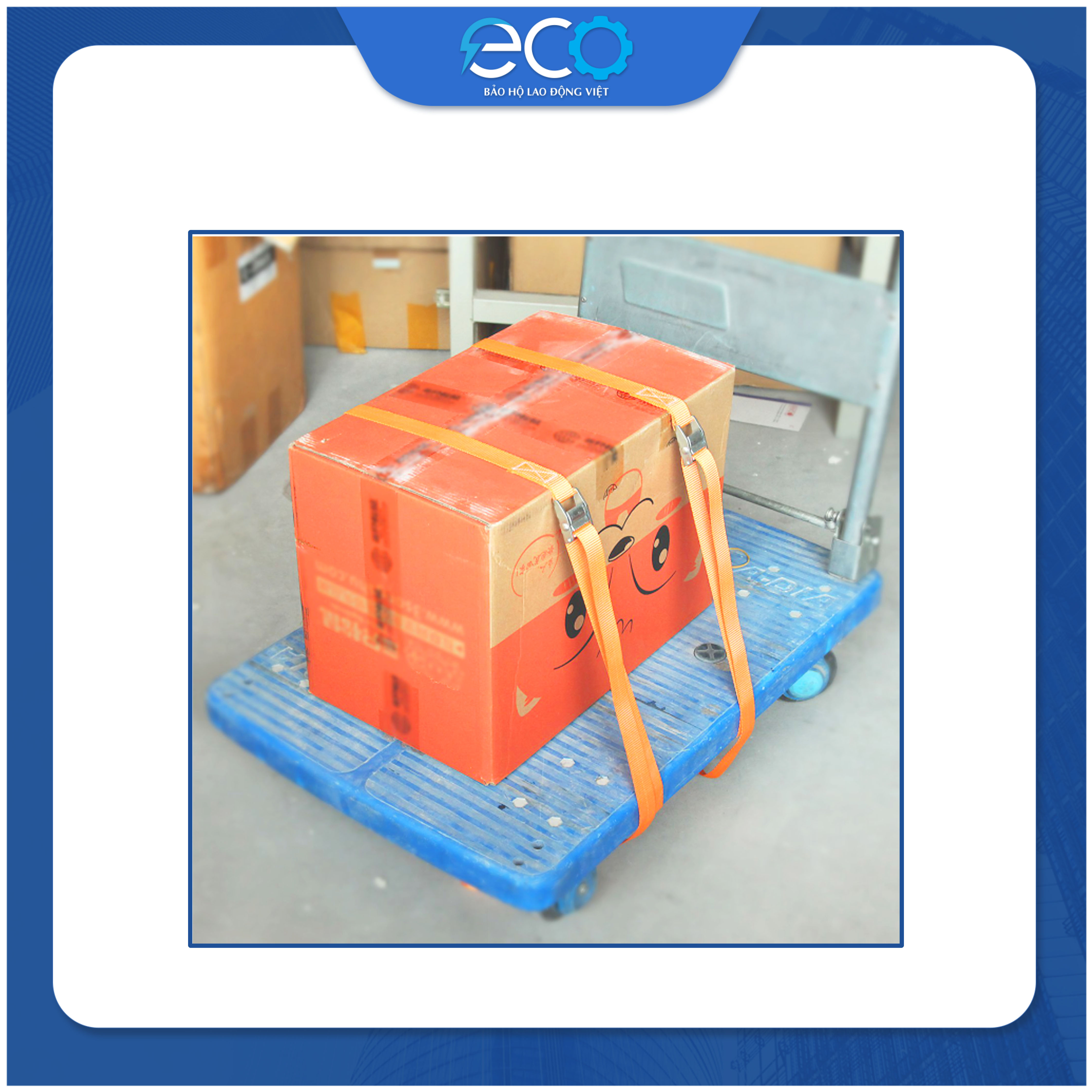 Dây chằng hàng khoá cam không móc Daravin, dây chằng hàng xe máy, hàng hóa pallet, vali, du lịch