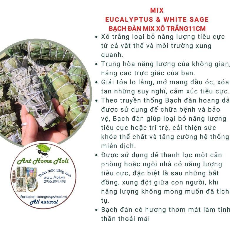 Bó xô thanh tẩy và bảo vệ