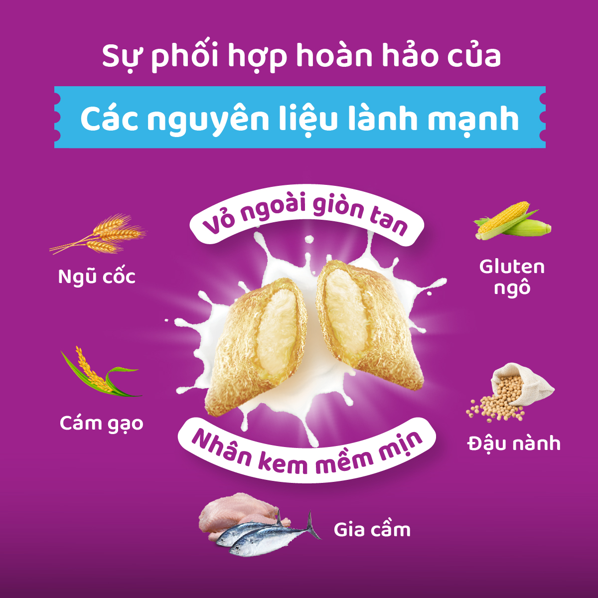 Thức ăn mèo con Whiskas dạng hạt 1.1kg