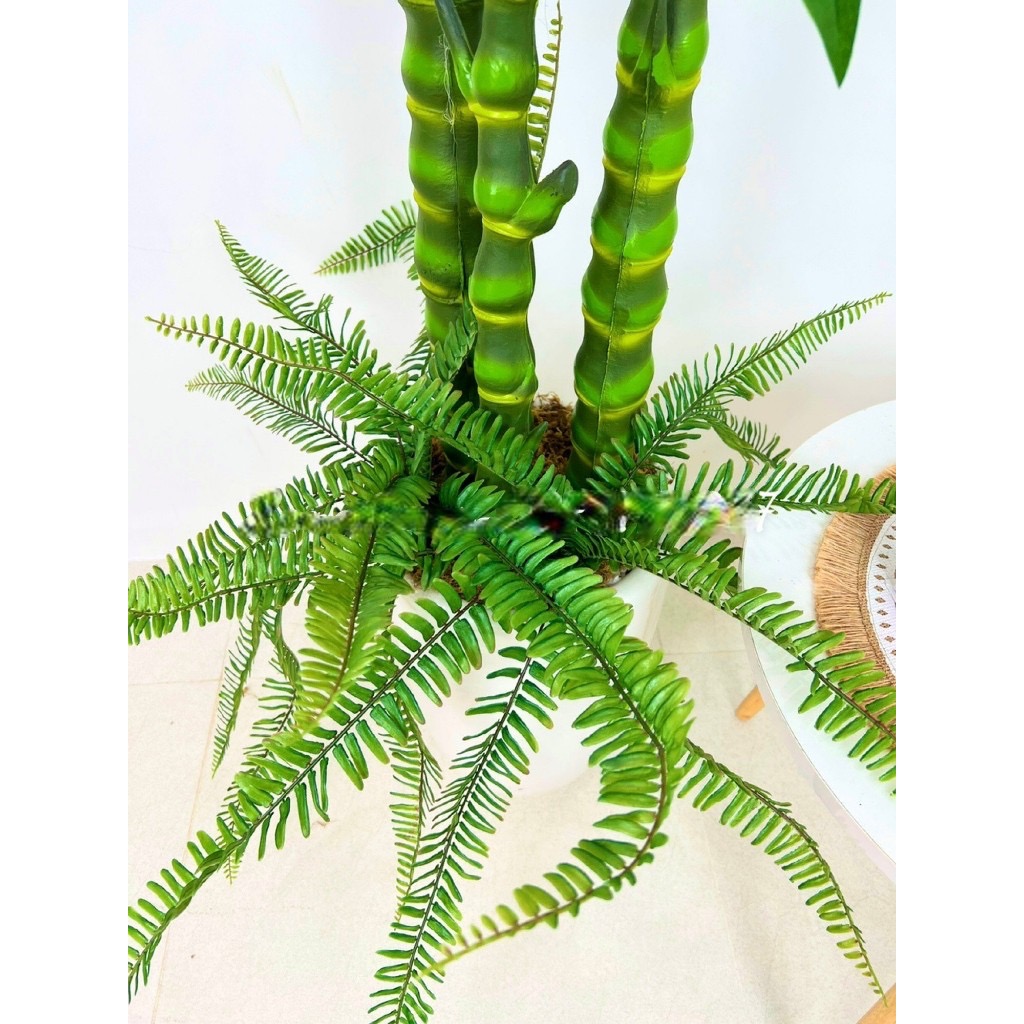 Cây trúc phật bà giả - cao 170cm - 3 nhánh - Cây giả, hoa lụa Decor trang trí nhà cửa