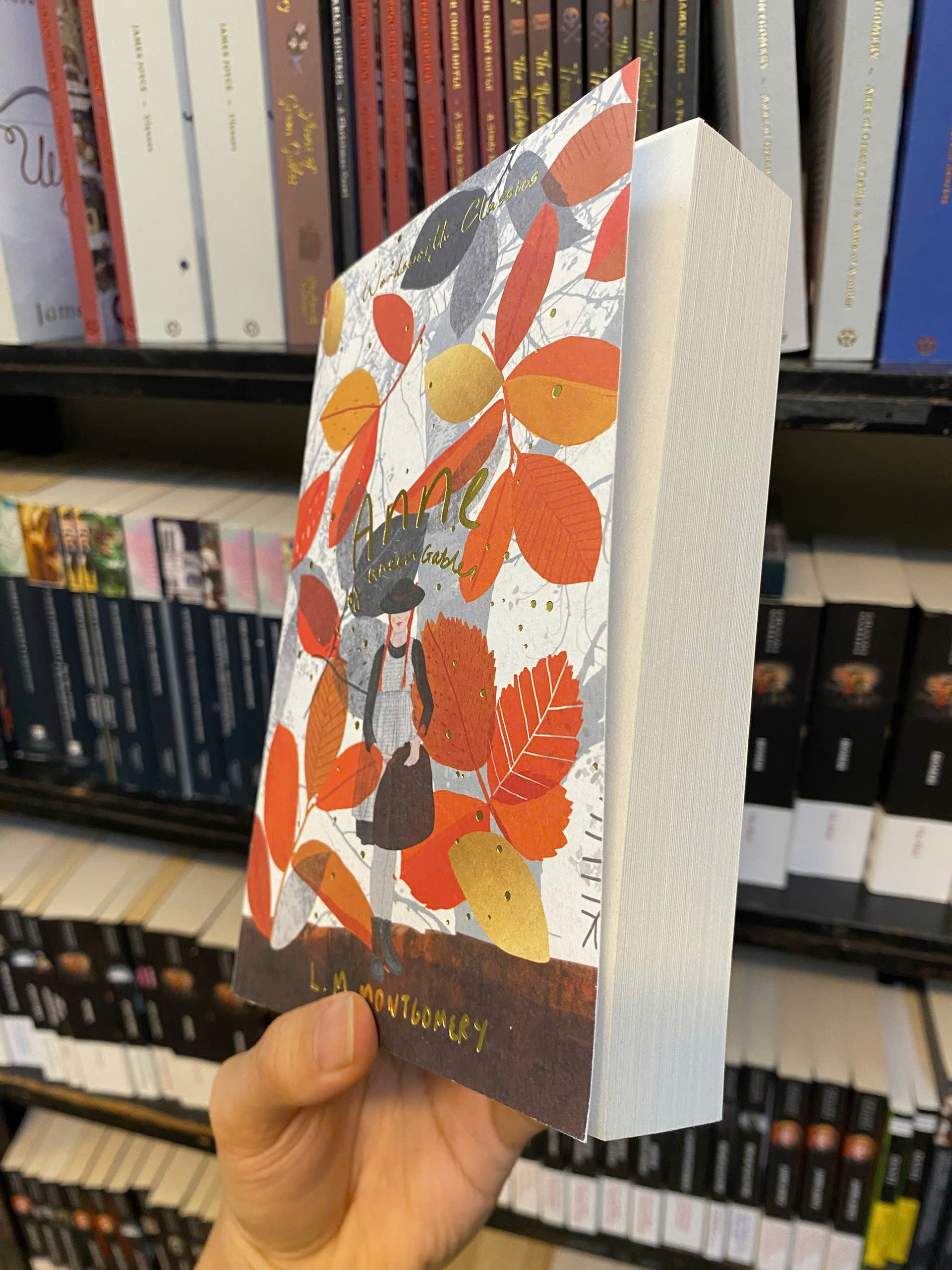Sách - Anne of Green Gables &amp; Anne of Avonlea by L. M. Montgomery - (Wordsworth Classics)