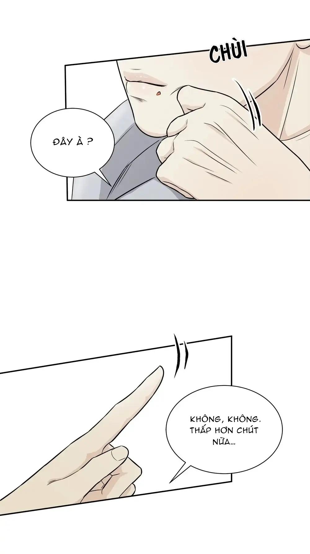 hạnh phúc trọn vẹn chapter 2 15