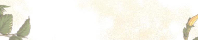 tôi sẽ cứu lấy nam chính tiểu thuyết bl chapter 23.2 12