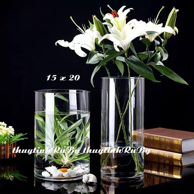 Bình bông lọ hoa thủy tinh D15xH20cm, trụ cắm hoa trang trí, chậu cây thủy sinh