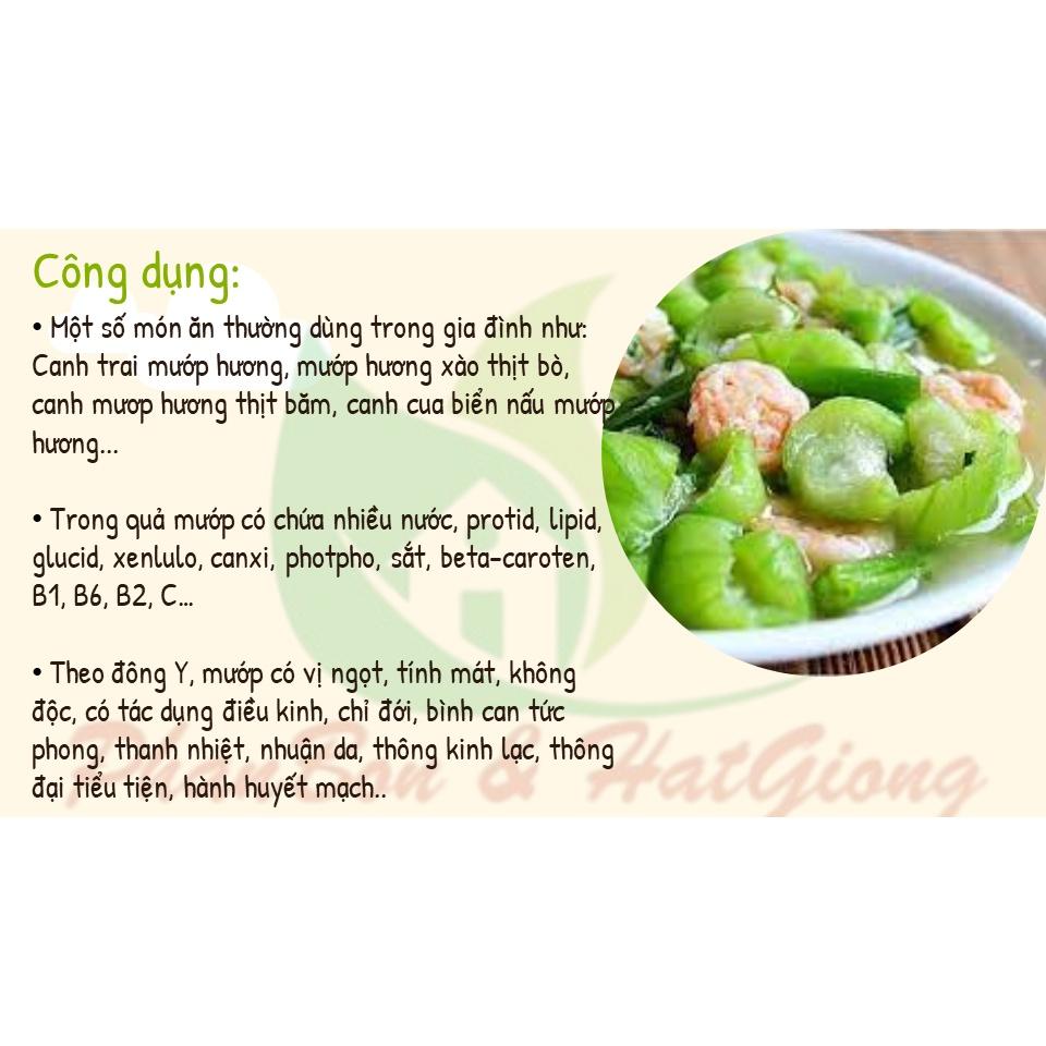 Hạt Giống Mướp Hương F1 - Phú Nông Seeds - Shop Phân Bón và Hạt Giống