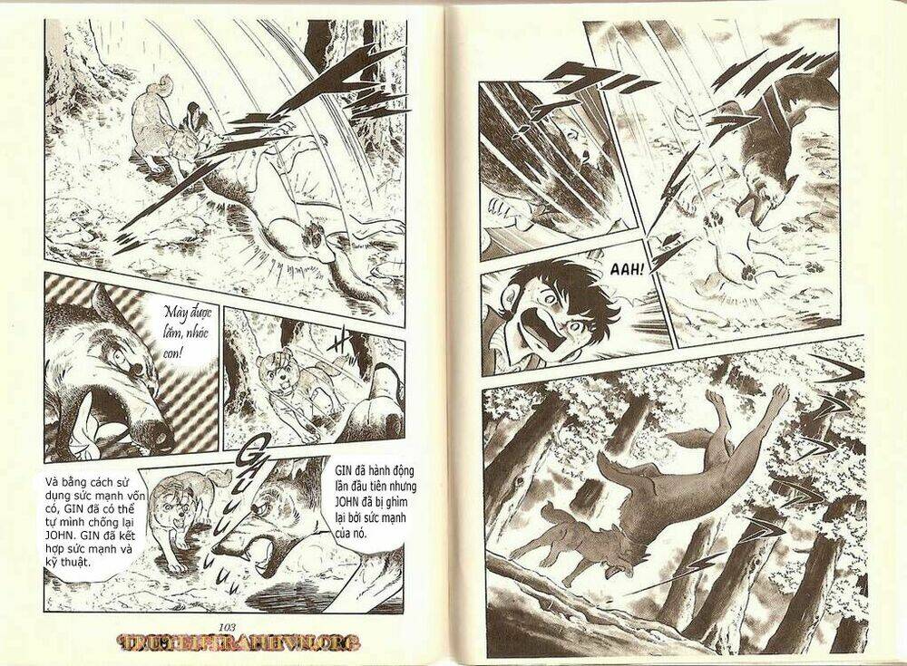 chú chó có nghĩa - ginga nagareboshi gin chapter 8 22