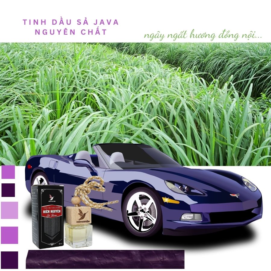 Tinh Dầu Sả Java Nguyên Chất - Chai Treo Khử Mùi : Khử mùi xe, mùi ẩm mốc, đuổi muỗi, thư giãn...