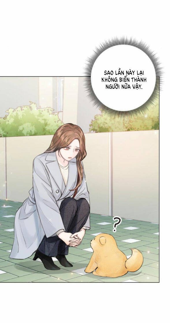 nhất định chúng ta sẽ được hạnh phúc chapter 79.1 11