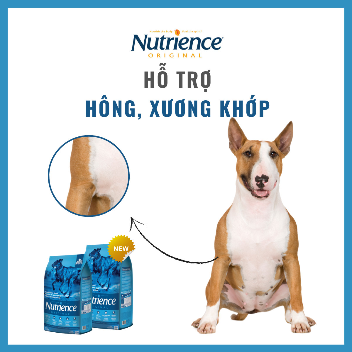 Thức Ăn Cho Chó Size Lớn Nutrience Infusion Bao 10kg - Thịt Gà, Rau Củ Và Trái Cây Tự Nhiên