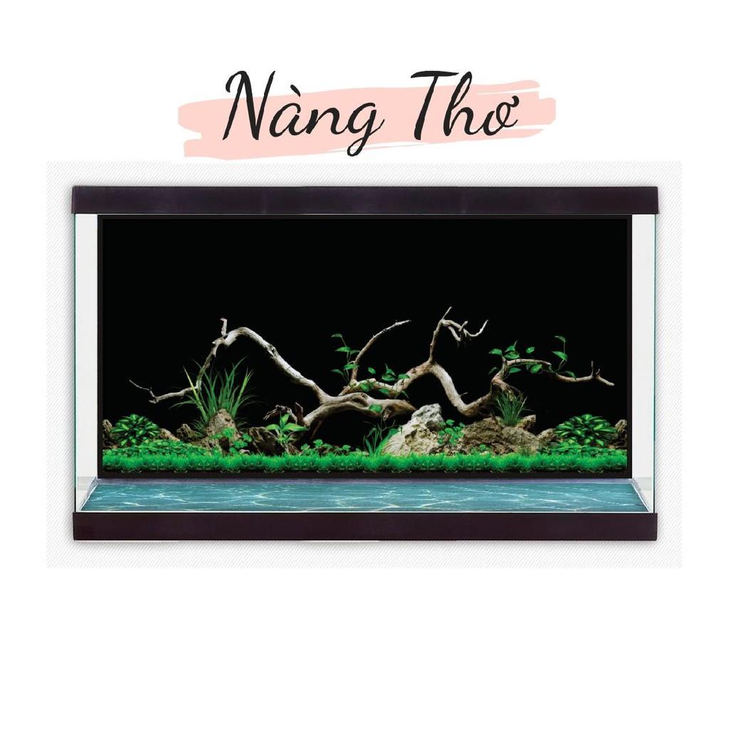 DECAL HỒ CÁ_TRANH 3D CÂY THUỶ SINH _DECAL VIP