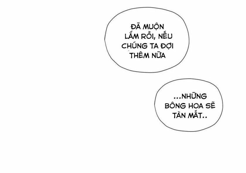người hầu hoàng gia chapter 12 12