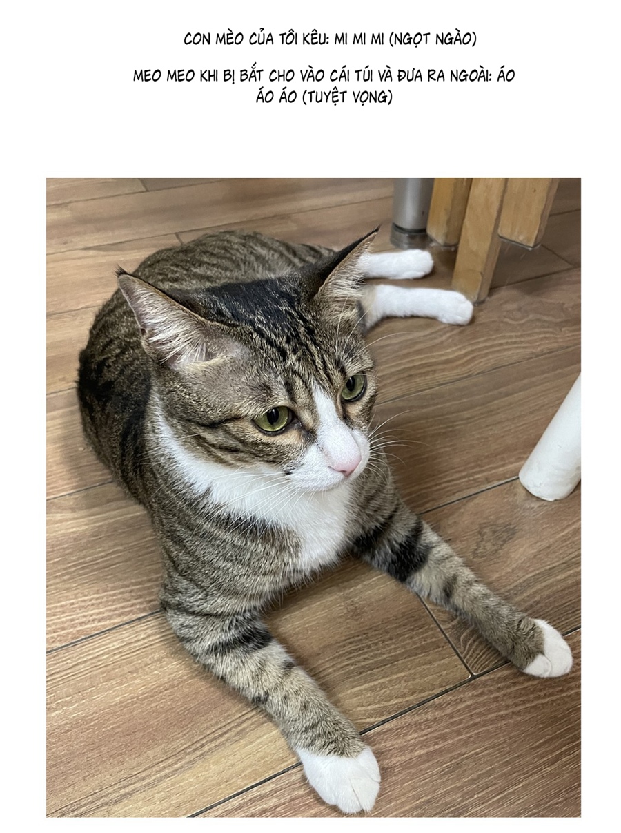 đừng nói yêu tôi chapter 52.1 5