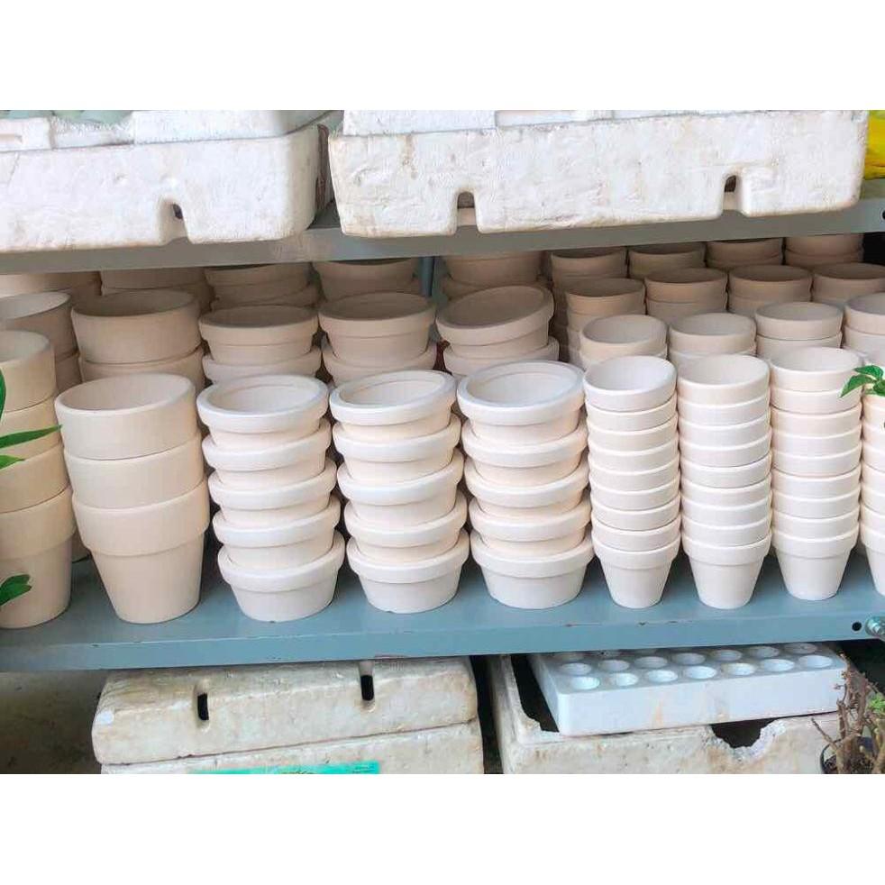 Chậu đất nung trồng cây Bán Chạy