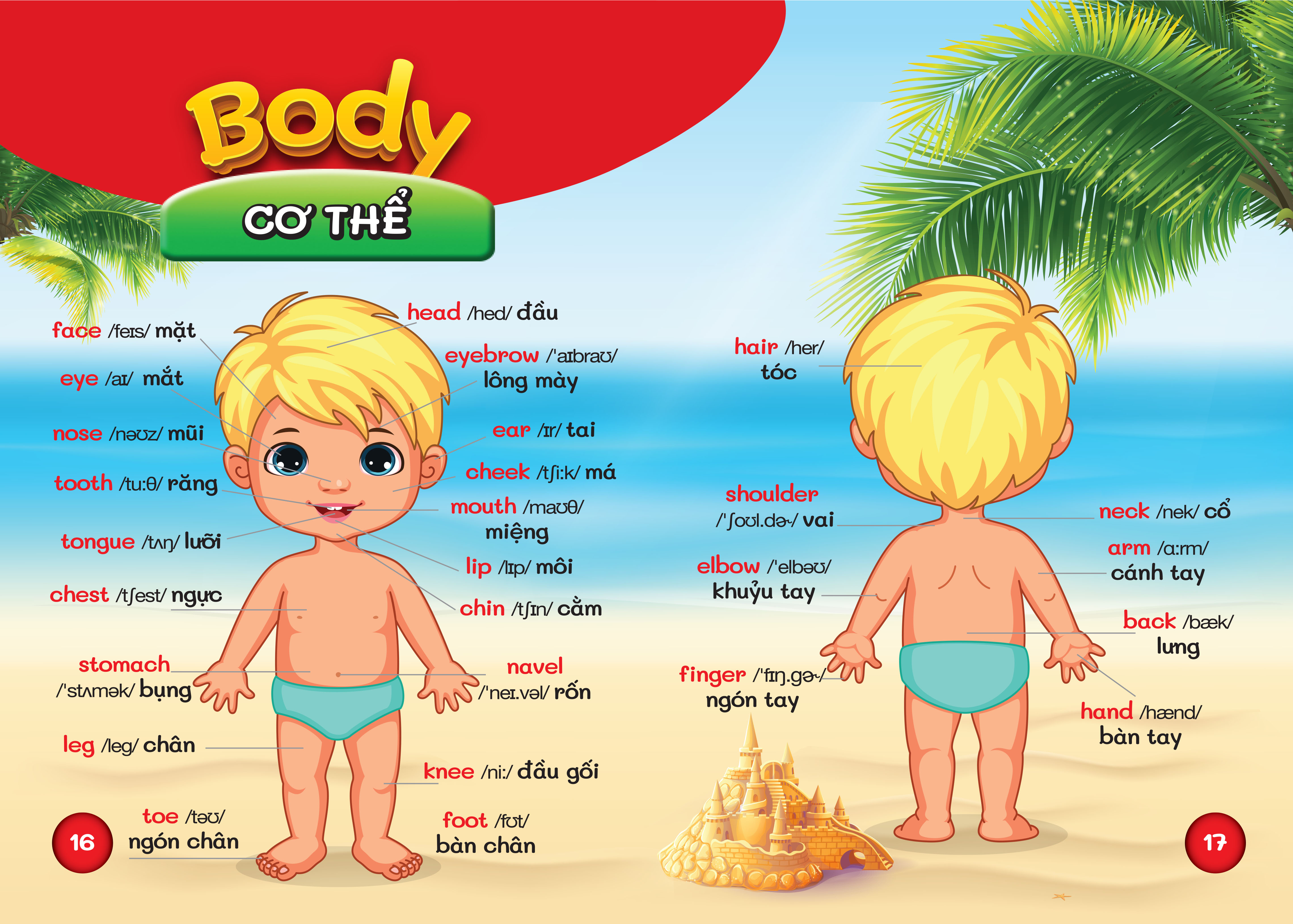 Sách - Từ Điển Bằng Hình Đầu Tiên Của Bé - Bách Khoa Tri Thức