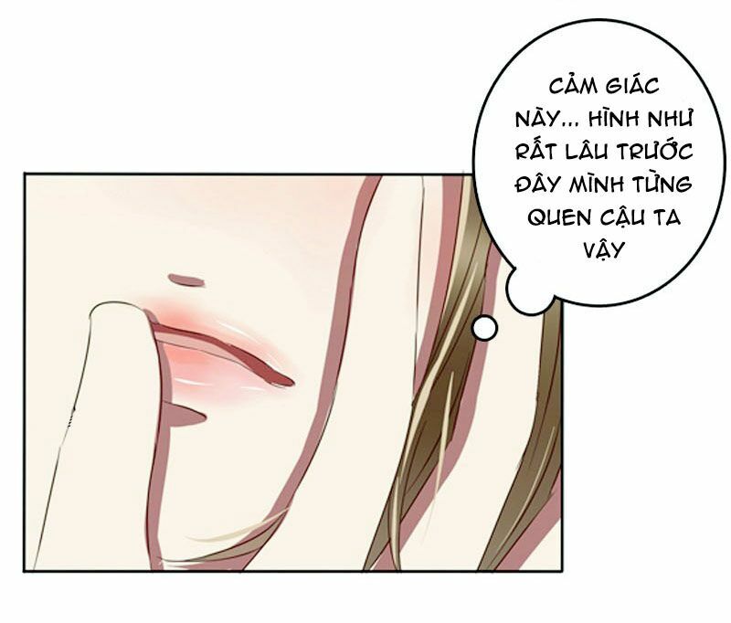 thông linh phi chapter 71.6 75