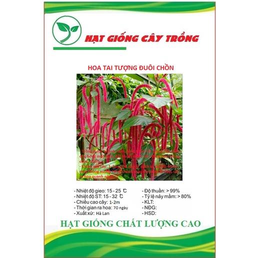 Hạt giống hoa Tai Tượng Đuôi Chồn Đỏ CT253 - Gói 30 hạt