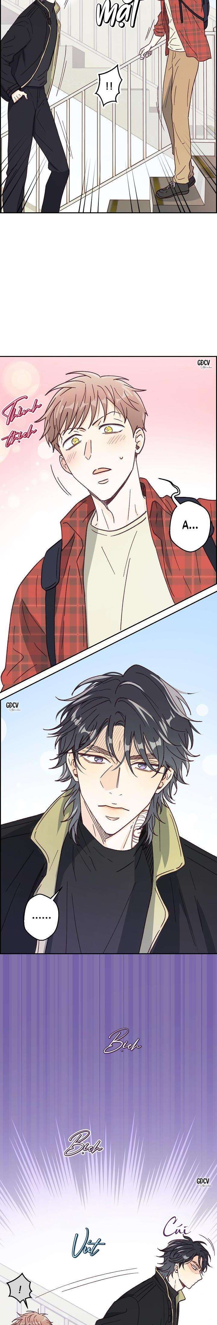 bạn trai vô song của tôi chapter 14 18