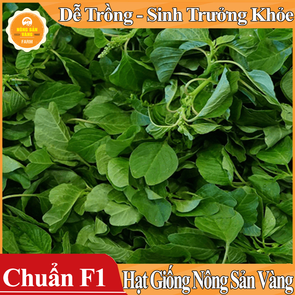 Hạt giống Rau Dền Cơm ( Gói 5 Gram ) - Nông Sản Vàng