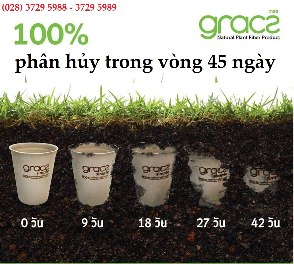 Combo 50 cái Dĩa giấy tròn bã mía Thái Lan 23cm - thương hiệu Gracz